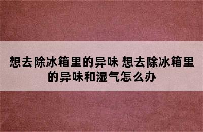 想去除冰箱里的异味 想去除冰箱里的异味和湿气怎么办